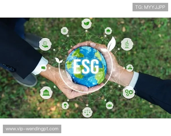 问鼎中国电子行业的绿色环保发展路径与可持续发展策略